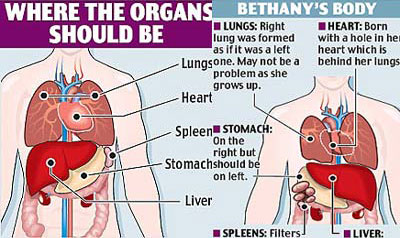 Miraculous effects of organs