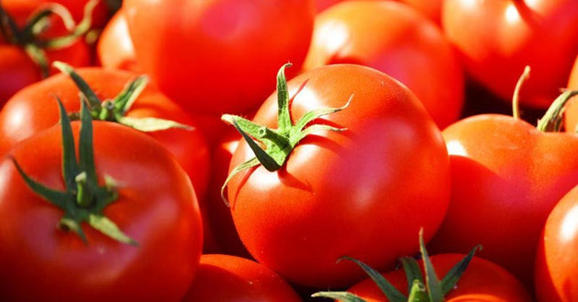 Miraculous use of tomatoes with the strength of a beard
