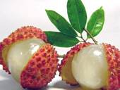 Misconceptions about hot - cool fruits