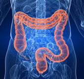 Mistletoe extract helps treat colon cancer