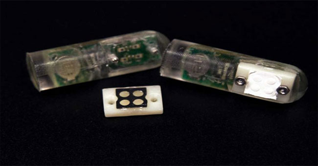 MIT development 'bacteria on the chip' has the ability to detect stomach bleeding