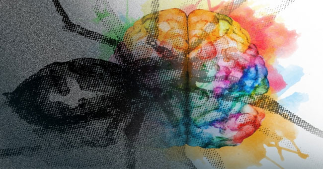 MIT finds a neural circuit that restricts fear phobia
