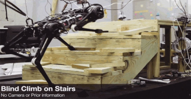 MIT's 'blind robot' can run, climb stairs proficiently