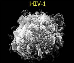MK-0518: New drug for HIV treatment