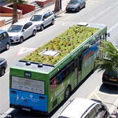 Mobile garden on the roof of the bus