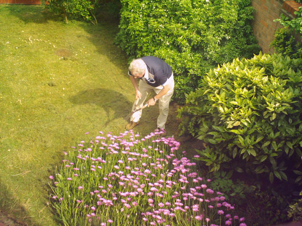 Mobility helps reduce the risk of Alzheimer's disease
