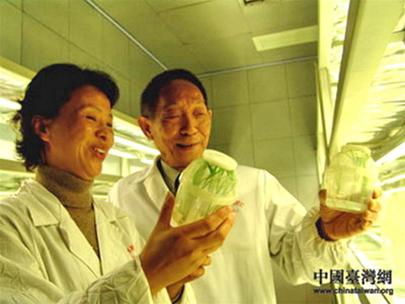 Mobilizing Nobel for father of hybrid rice