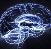 Modern people are not as intelligent as people of the 19th century?