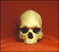 Modern people share a common origin in Africa