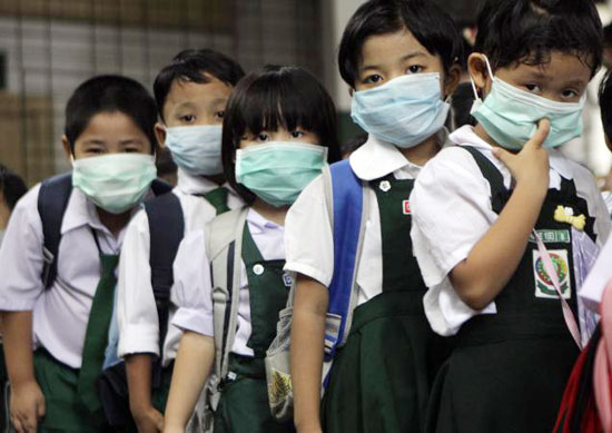 Modified H5N1 virus can spread from pigs to humans