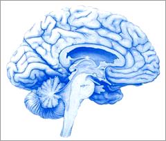 Molecular detection of memory