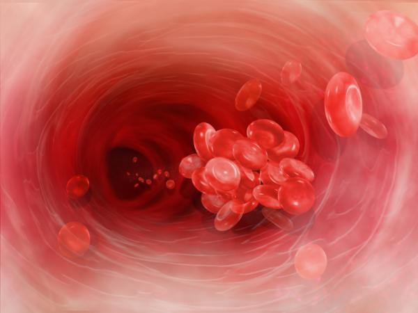 Molecular mechanism that regulates blood clotting