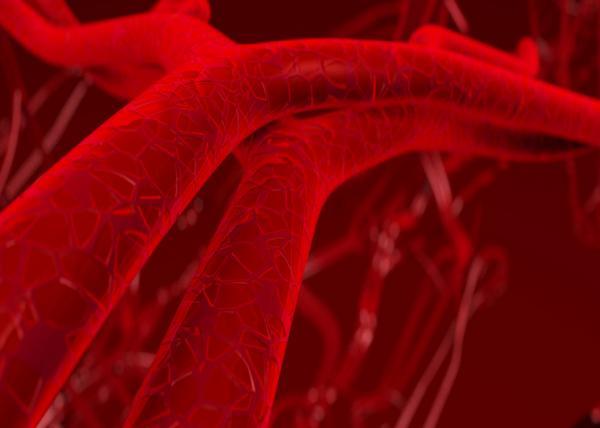 Molecule controls blood vessel growth
