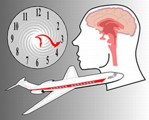 Molecules act on human biological clocks