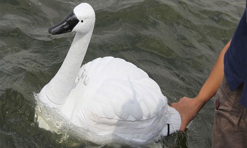 Monitoring pollution with swan robots in Singapore
