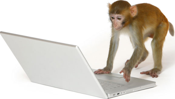 Monkey controls the touch screen