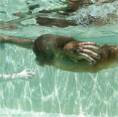 Monkey learns to swim like people