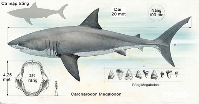 Monsters that dominated the prehistoric world