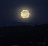 More evidence of the origin of the Moon