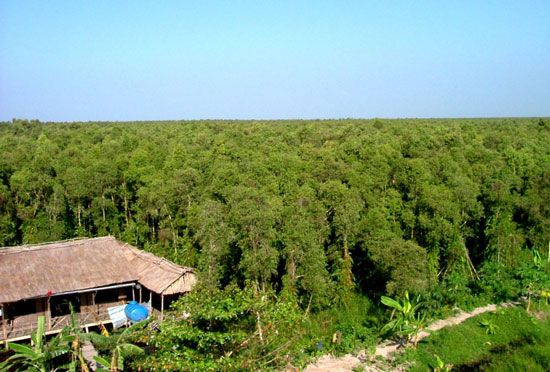 More rare animals in U Minh Ha forest