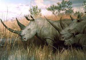 More than 152 rare and precious animal and plant species are in danger of extinction
