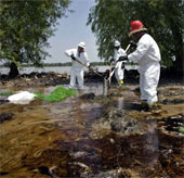 More than 200 million people are at risk of environmental toxicity
