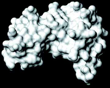 More than 50% of women are infected with HPV