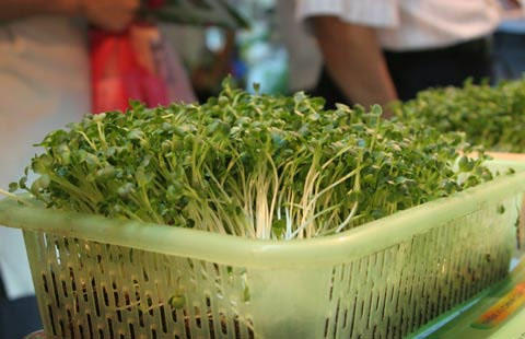 More than 500 booths participating in technology equipment market