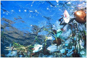 More than 6 million tons of garbage are thrown into the sea every year