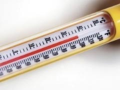 Mortality rate increases with temperature