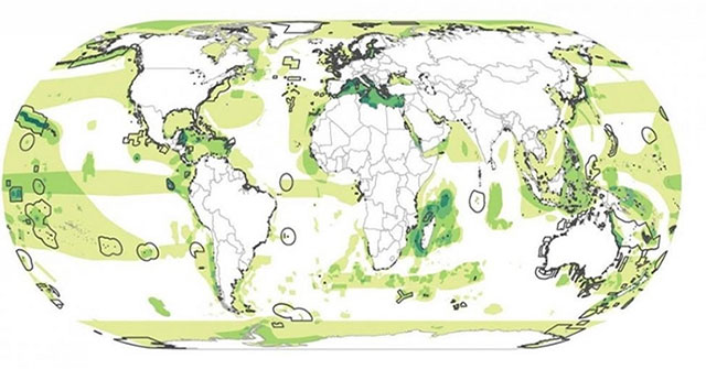 Most important marine areas are not preserved