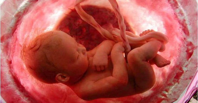 Mother's blood revealed the secret of the fetus