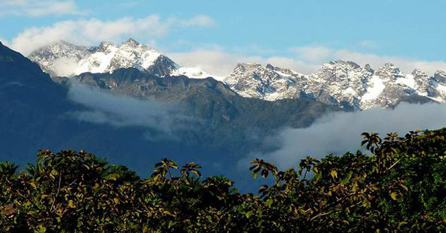 Mount Rwenzori National Park
