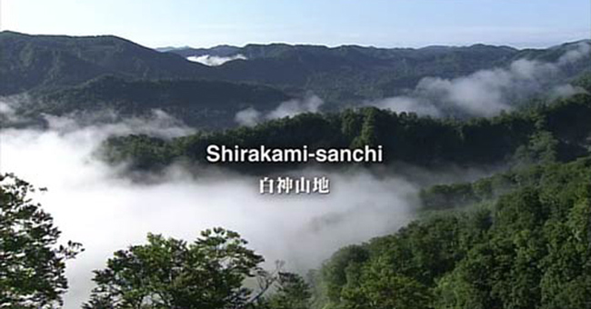 Mount Shirakami Sanchi