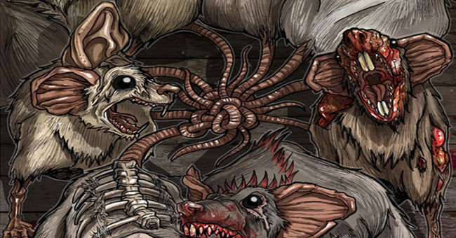 Mouse king - rare and dangerous horror phenomenon