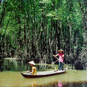 Mui Ca Mau National Park is about to form Ramsar