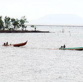 Mui Ca Mau National Park is recognized as a Ramsar site