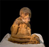 Mummies of animals nearly 3,000 years old