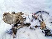 Mummies on the glacier at the summit of Mexico mountain