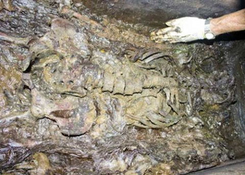 Mummy for over 200 years in Dong Nai is female