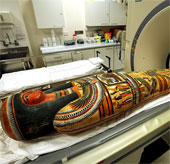 Mummy has brain, no heart