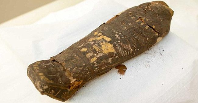 Mummy of 5-month-old fetus in tiny coffin