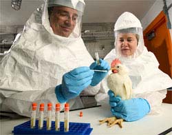 Myanmar announces a new case of bird flu
