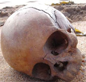 Mysterious 1000-year-old jaw bone on the beach
