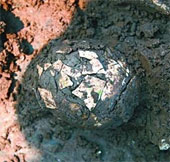 Mysterious 2,000-year-old chicken egg buried in the ancient tomb
