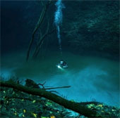 Mysterious beauty mesmerizes at the bottom of the river