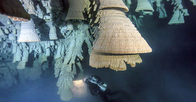 Mysterious bell-shaped jelly in Mexican cave
