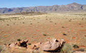 Mysterious circle between desert like human skin cells?