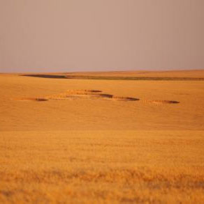 Mysterious circle on the American field