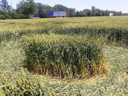 Mysterious circle on the field in Russia